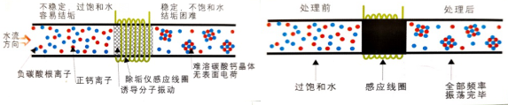 電子水除垢儀